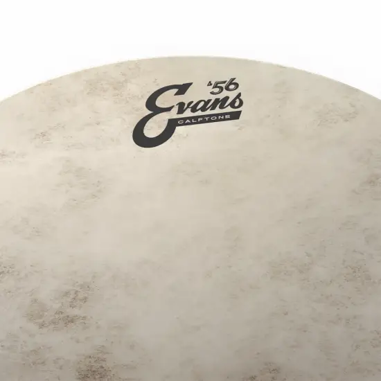 Evans 8