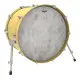 Remo 20