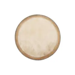 Club Salsa Pele Bongo 6