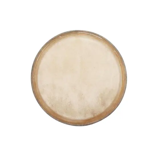 Club Salsa Pele Bongo 6