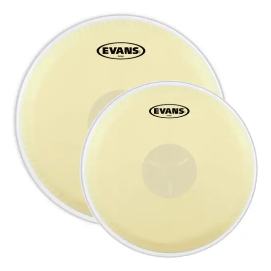 Evans BONGO 7 1/4