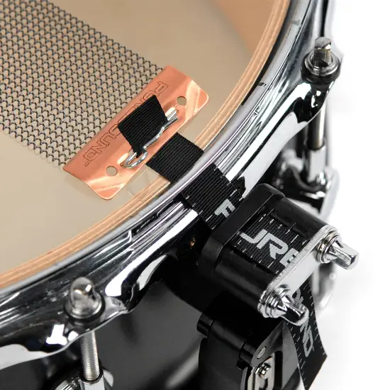 PURESOUND CPS1320