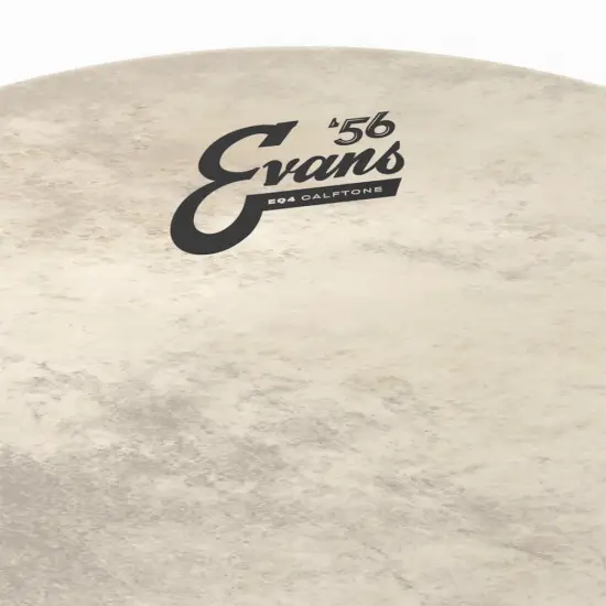 Evans 16