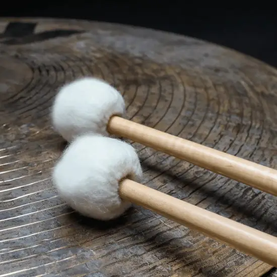 Vic Firth PAR BILROS TIMPANO T1 General