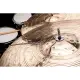 Meinl Cymbal Bacon