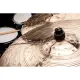 Meinl Cymbal Bacon