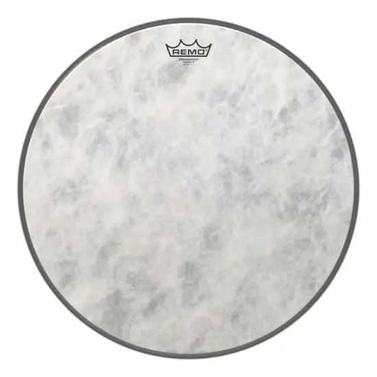 Remo 18