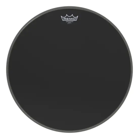Remo 18