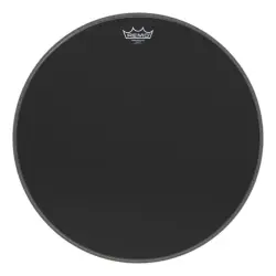 Remo 20