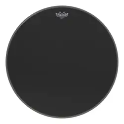 Remo 22