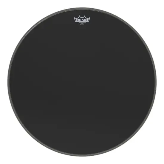 Remo 22