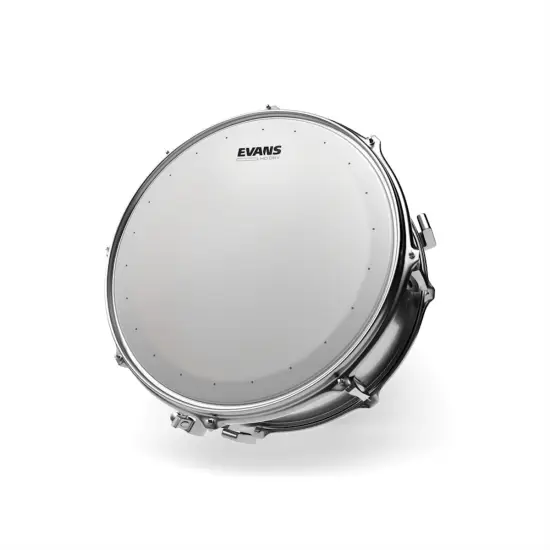Evans 8