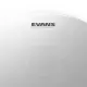 Evans 13
