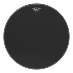 Remo 20