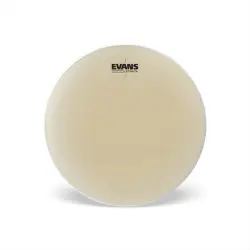 Evans 26