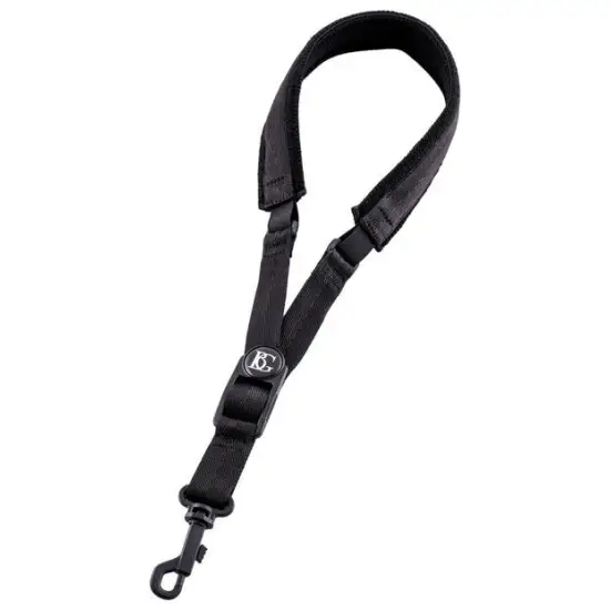 BG CORREIA SAXOFONE S10ESH