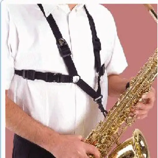 BG CORREIA SAXOFONE Small S42SH Criança