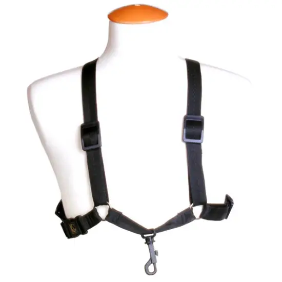 BG CORREIA SAXOFONE XL S43SH