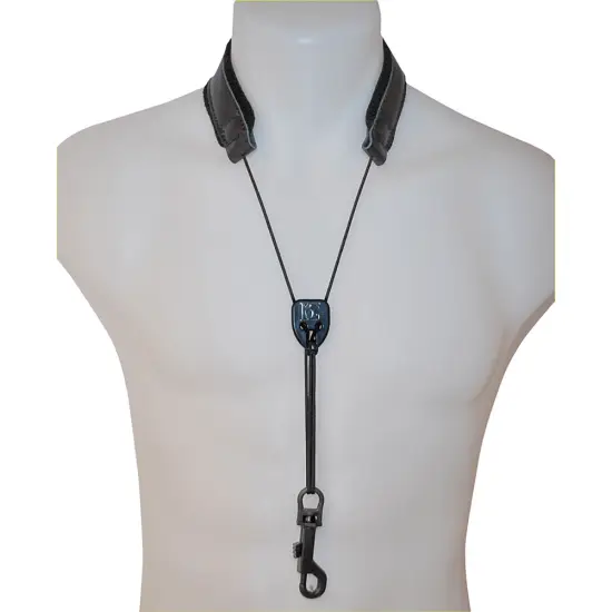 BG CORREIA SAXOFONE S20SH