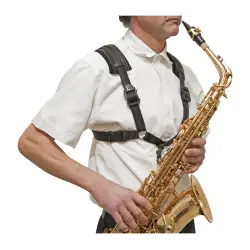 BG CORREIA SAXOFONE XL S43CSH