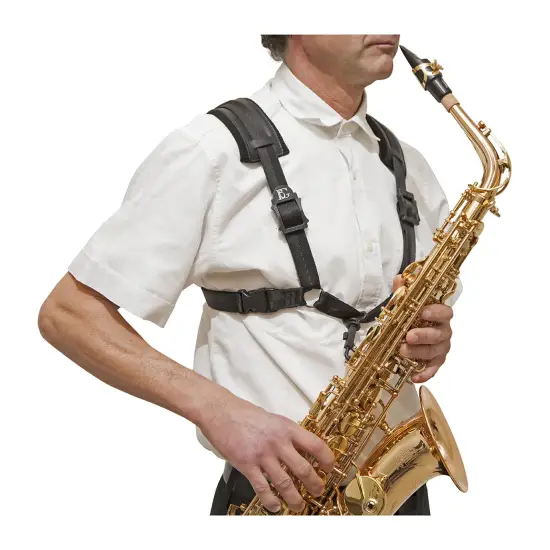 BG CORREIA SAXOFONE XL S43CSH