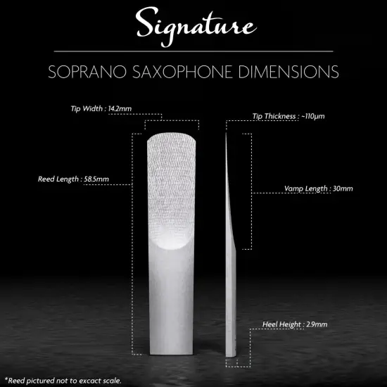 Légère Saxofone Soprano Signature 3.25