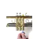 Music Nomad SET ESCOVAS TROMPETE MN765