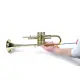 Music Nomad SET ESCOVAS TROMPETE MN765