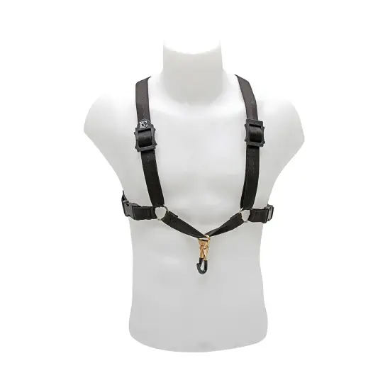 BG CORREIA SAXOFONE ALTO S40MSH