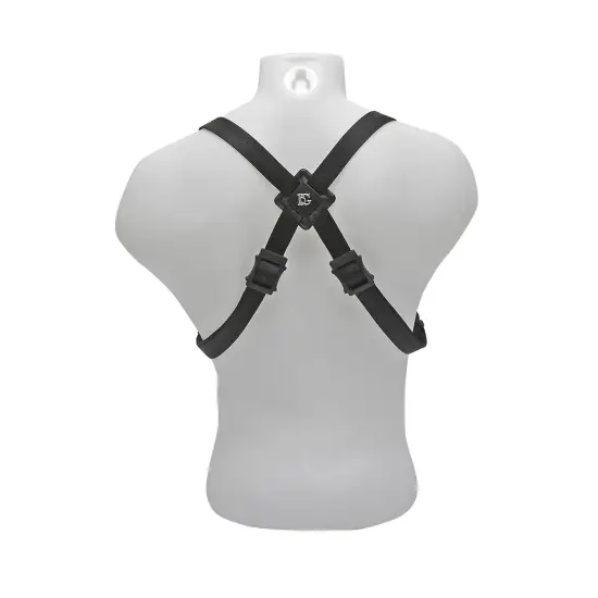 BG CORREIA SAXOFONE ALTO S40MSH