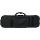 Protec ESTOJO VIOLINO Professional HS145W