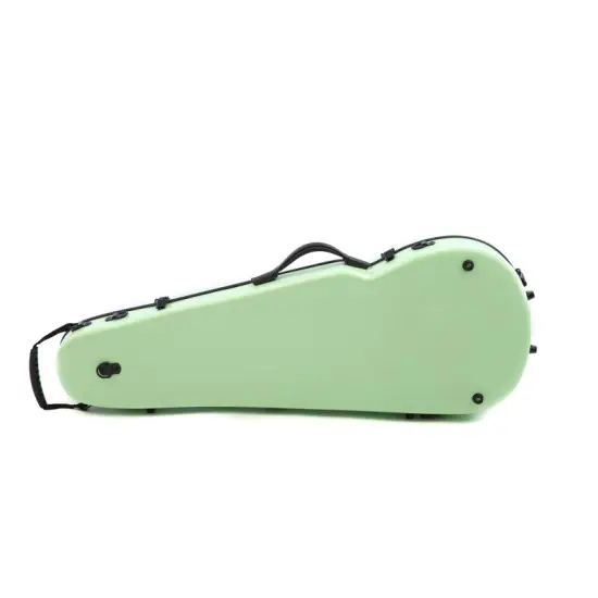 RAPSODY ESTOJO VIOLINO 4/4 Rainbow Menta