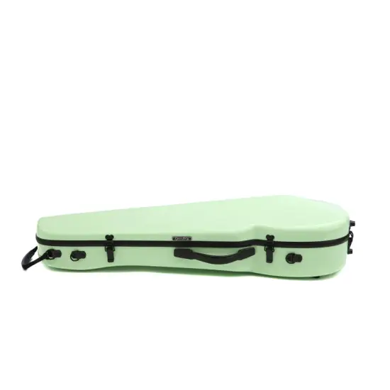 RAPSODY ESTOJO VIOLINO 4/4 Rainbow Menta