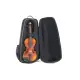 Gewa ESTOJO VIOLINO 4/4 3/4 Space Bag Titanium