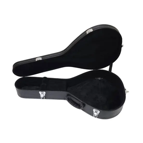 MJR ESTOJO GUITARRA PORTUGUESA LISBOA
