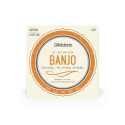 Daddario SET CORDAS BANJO EJ61 5 String Nickel 10 23