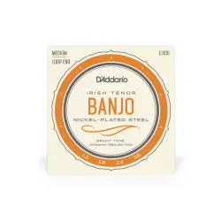 Daddario SET CORDAS BANJO Irish Tenor Set EJ63I