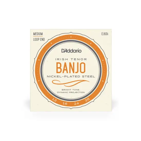 Daddario SET CORDAS BANJO Irish Tenor Set EJ63I