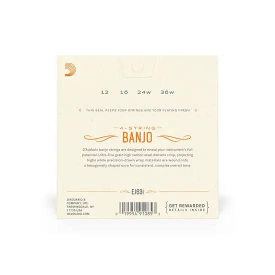 Daddario SET CORDAS BANJO Irish Tenor Set EJ63I