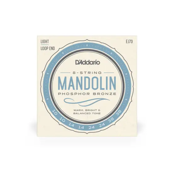 Daddario SET CORDAS BANDOLIM Light Set EJ73
