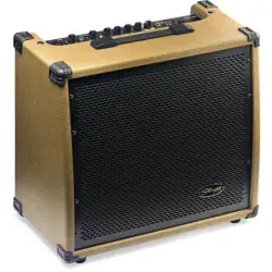 Stagg 60 AA R