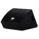 Alto MONITOR PALCO Amplificado SXM112A