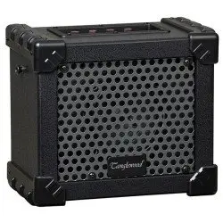 Amplificação