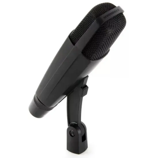Sennheiser MICROFONE INSTRUMENTO MD421 II