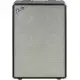 Fender Bassman 610 Neo Enclosure