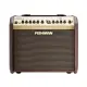 Fishman Loudbox Mini