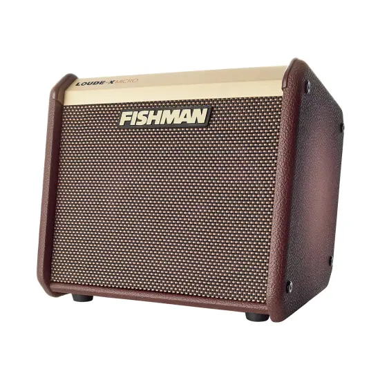 Fishman Loudbox Mini