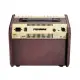 Fishman Loudbox Mini