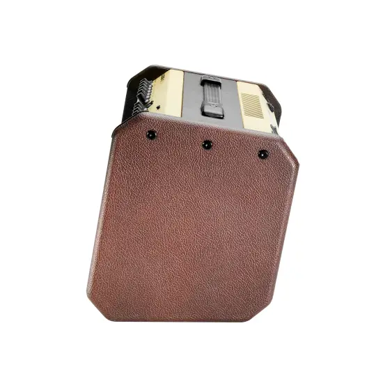 Fishman Loudbox Mini