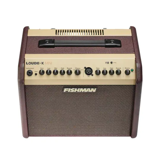 Fishman Loudbox Mini